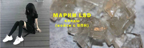 прущие грибы Баксан