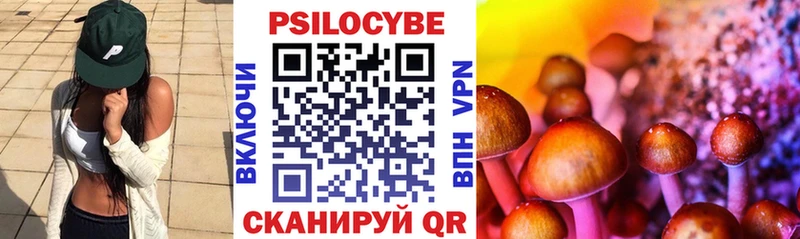 наркошоп  Богородицк  Галлюциногенные грибы MAGIC MUSHROOMS 